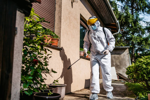 Best Mosquito Control Services  in Menahga, MN