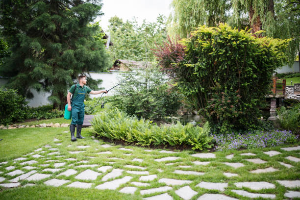 Best Termite Control Services  in Menahga, MN