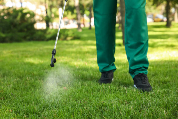 Best Best Pest Control Companies  in Menahga, MN