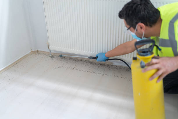 Professional Pest Control in Menahga, MN