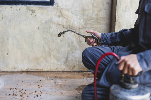 Best Affordable Pest Control Services  in Menahga, MN